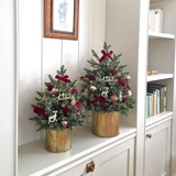 ��ǰ ������